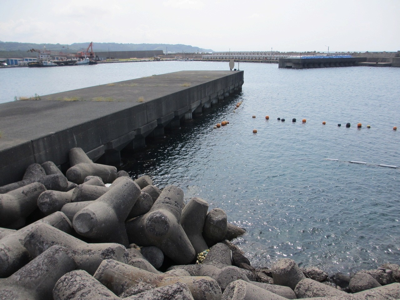 鳥取県,海釣り,ポイント,泊港